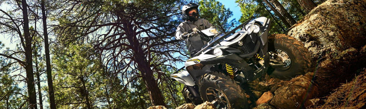 2017 Yamaha for sale in Bub's Cycle, Beckley, West Virginia
